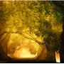 Realities and Dreams