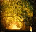 Realities and Dreams