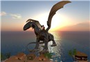 Dragon ride over Portucalis 5