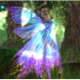Blue Fairy