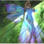 Fairy.....Sunbeams streaming through the leaves of trees