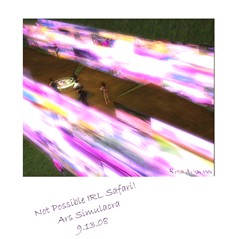 NotPossibleIRLSafari 2