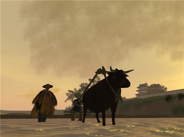 Paddy Field
