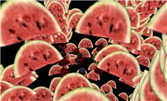 mmmm melons - Torley Olmstead