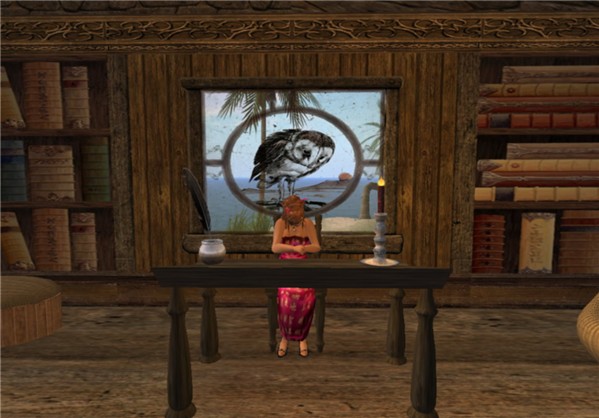 Owl's Bay - Short Stories Contest