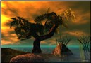 Sunset at Lost World