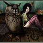 The Owl