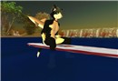 Naked surfing - Socks Clawtooth
