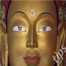 01-Src-200x200