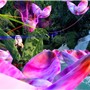 "La Petite Poucette" Hans Christian Andersen