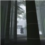 Bamboo Grove