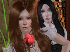 snapshot_d5b9c77c_75db0bf6