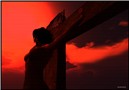 The Sinner