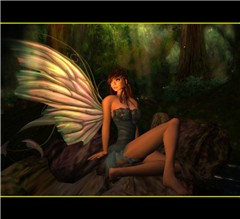 Dreamer