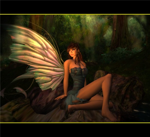 Dreamer