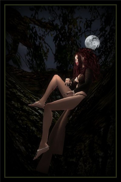 by moonlight