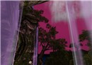 Straylight Redux