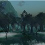 Hollow Forest