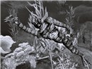 Creature from the Black Lagoon1