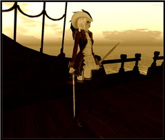 Pirate 3