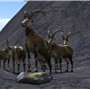 Sculptie Experiments - Koinup Burt