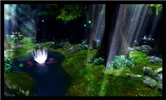 The forest