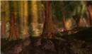 Realstic Landscape - Ahmad Hosho