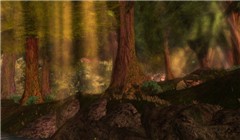 Realstic Landscape - Ahmad Hosho