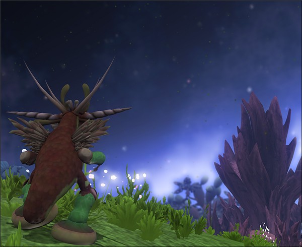 Star Gazing