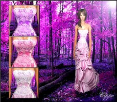Enchanted Forest