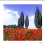 Wanderstill 2