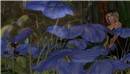 Blue Flower
