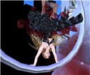 Acrobatie