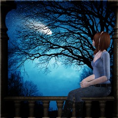 Moonless Night