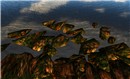 ZweiteWelt New - Balduin Aabye