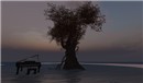 Beautiful_001