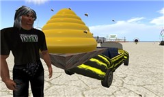 Bee - Dub - Burning Life DMV yard - EmCee Widget