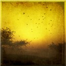 To the Sun