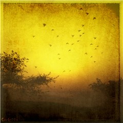To the Sun