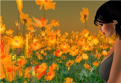 in the garden_001