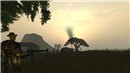 Wheat Farm
