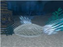 item camp_004