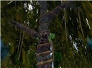 item camp_018