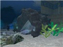 item camp_026