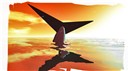 whalestail