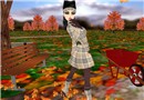 fallen leaves