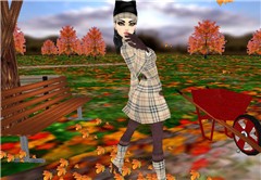 fallen leaves