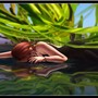 310 Vegetal Planet