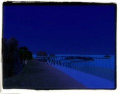 Environment Full Blue