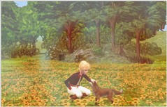 Il Piccolo Principe
